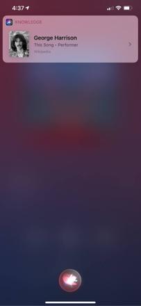 了解 Apple Music 上正在播放的内容