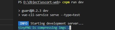 vue项目运行不起来，一直提示tinyPNG is compressing imgs .是怎么回事？