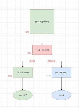 python使用os.fork()