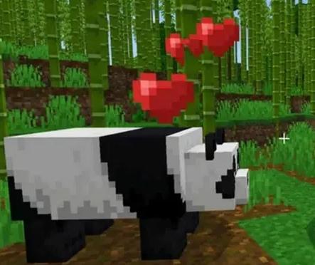 如何在《我的世界》中饲养熊猫