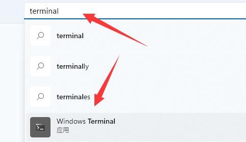 Win11提示找不到wt.exe文件怎么办？Win11提示没有wt.exe文件解决方法