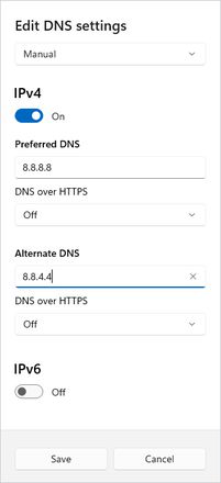 输入 DNS 地址，然后单击“保存”。