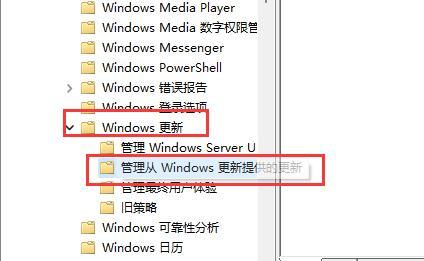 如何在Windows11中启用/禁用自动驱动程序更新