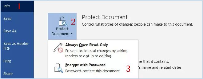 在Win10/Mac中使用密码保护Word文档文件的3个技巧