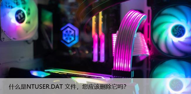 什么是NTUSER.DAT 文件，您应该删除它吗？