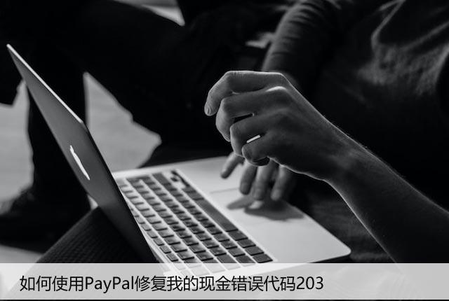 如何使用PayPal修复我的现金错误代码203