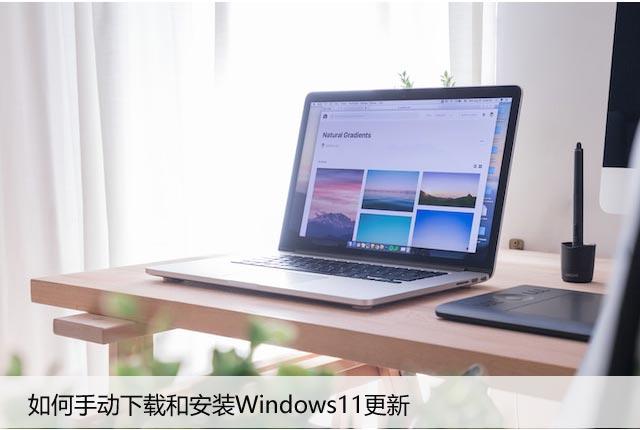 如何手动下载和安装Windows11更新