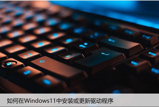 如何在Windows11中安装或更新驱动程序