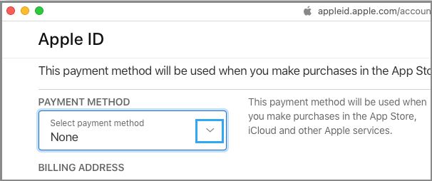 在 Apple ID 屏幕上选择“无”作为付款方式