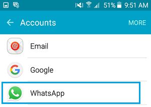 Android 手机帐户屏幕上的 WhatsApp 选项卡