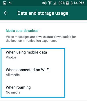 WhatsApp 媒体自动下载设置