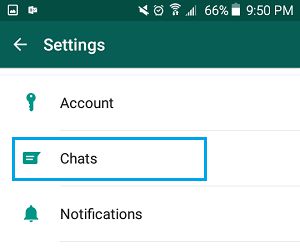 WhatsApp 设置中的聊天选项卡