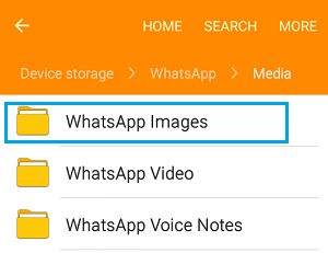 Android 手机上的 WhatsApp 图片文件夹