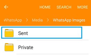 Android 手机上的 WhatsApp 已发送文件夹
