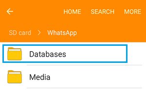 Android 手机上的 WhatsApp 数据库文件夹