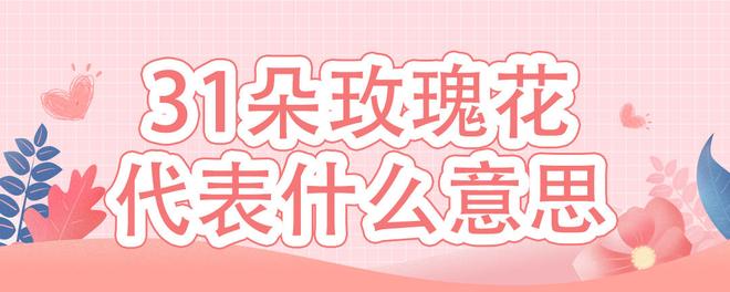 31朵玫瑰花代表什么意思