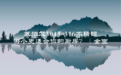 苏泊尔304和316不锈钢哪个更适合你的厨房？（全面对比，帮你做出选择）