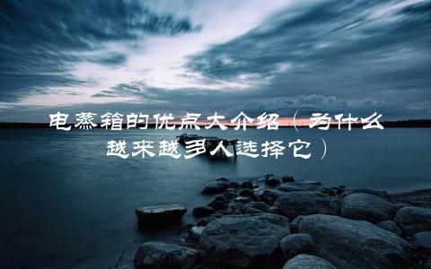 电蒸箱的优点大介绍（为什么越来越多人选择它）