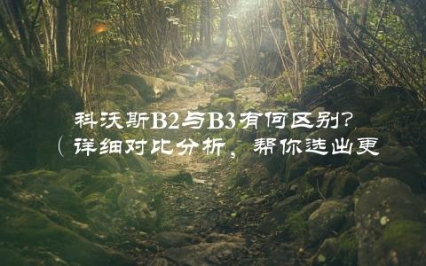 科沃斯B2与B3有何区别？（详细对比分析，帮你选出更适合的扫地机器人）