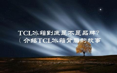 TCL冰箱到底是不是品牌？（介绍TCL冰箱背后的故事）