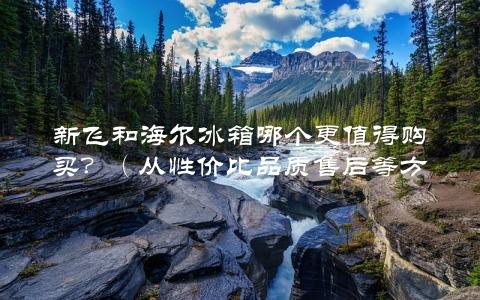 新飞和海尔冰箱哪个更值得购买？（从性价比品质售后等方面进行对比）