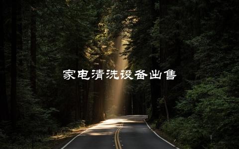 家电清洗设备出售