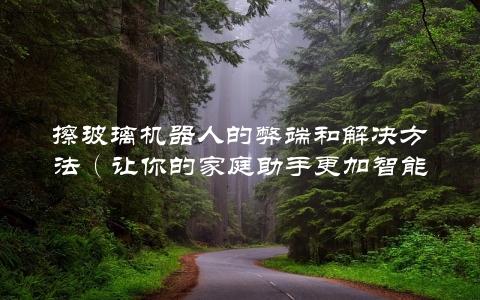 擦玻璃机器人的弊端和解决方法（让你的家庭助手更加智能）