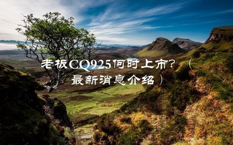 老板CQ925何时上市？（最新消息介绍）