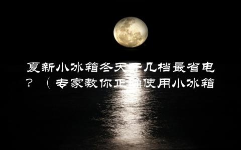 夏新小冰箱冬天开几档最省电？（专家教你正确使用小冰箱）