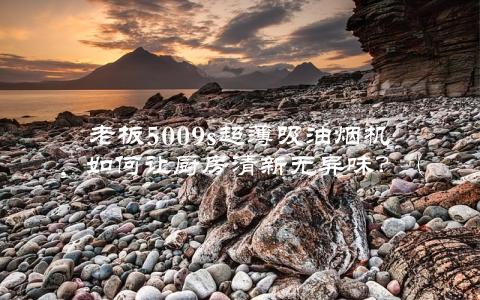 老板5009s超薄吸油烟机，如何让厨房清新无异味？（详细评测和使用心得分享）