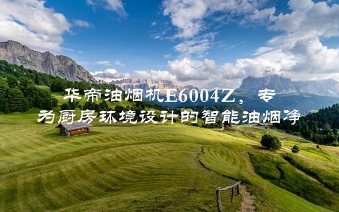 华帝油烟机E6004Z，专为厨房环境设计的智能油烟净化器