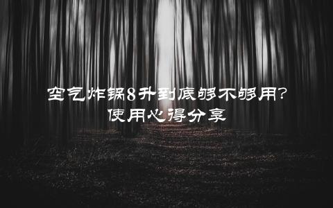 空气炸锅8升到底够不够用？使用心得分享