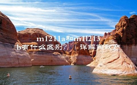 m1211a和m1l213b有什么区别？（详解两款产品的特点和适用场景）