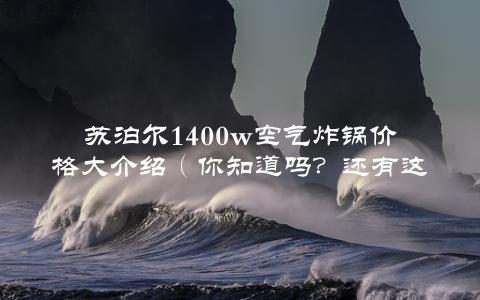 苏泊尔1400w空气炸锅价格大介绍（你知道吗？还有这种购买方式）