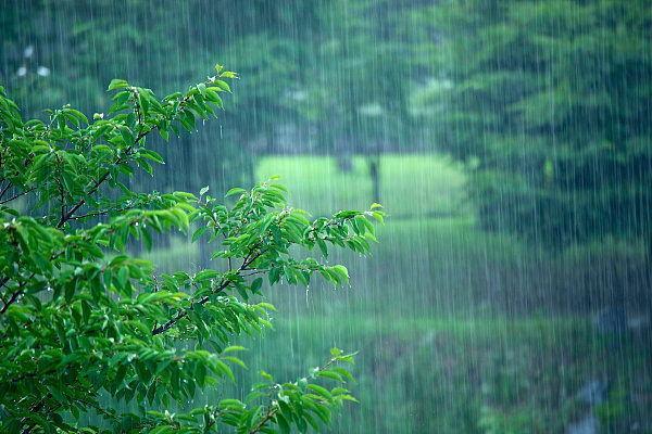 梅雨形成的原因是什么（梅雨形成的主要因素）