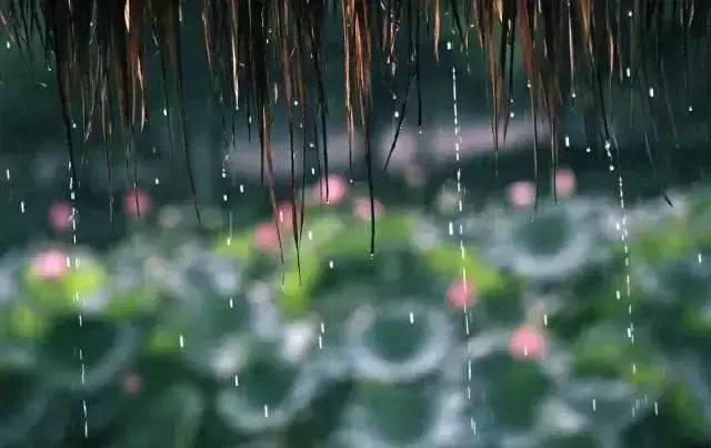 梅雨形成的原因是什么（梅雨形成的主要因素）