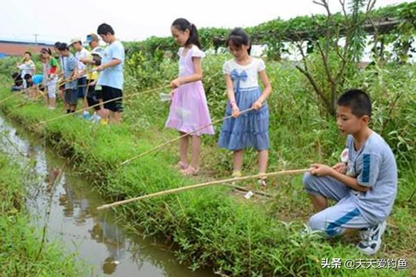 钓龙虾的方法和窍门（钓小龙虾新手攻略）