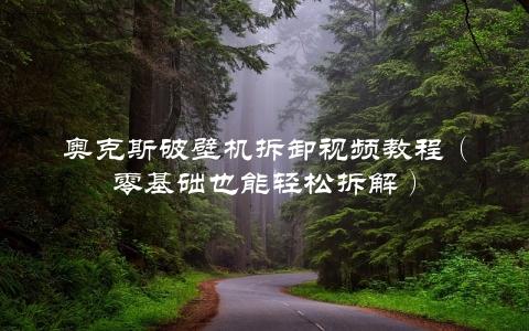 奥克斯破壁机拆卸视频教程（零基础也能轻松拆解）