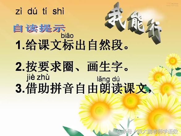 树叶的拼音（台风的拼音）