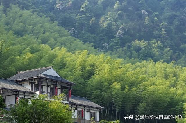 永川旅游景点大全（永川旅游攻略详情）