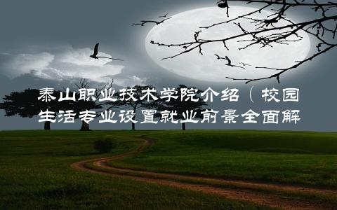 泰山职业技术学院介绍（校园生活专业设置就业前景全面解读）