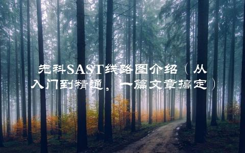 先科SAST线路图介绍（从入门到精通，一篇文章搞定）