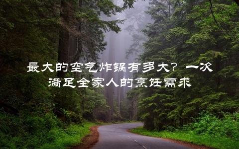 最大的空气炸锅有多大？一次满足全家人的烹饪需求