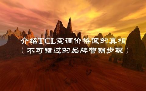 介绍TCL空调价格低的真相（不可错过的品牌营销步骤）