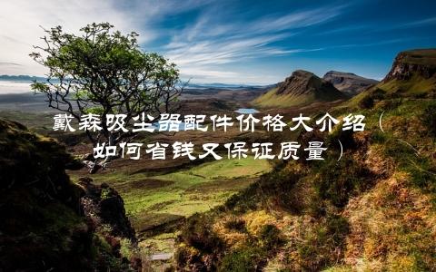 戴森吸尘器配件价格大介绍（如何省钱又保证质量）