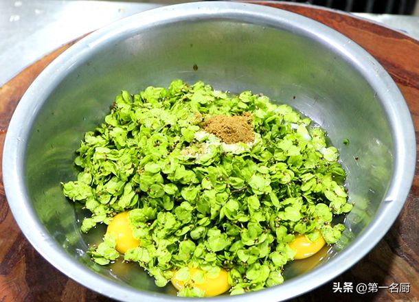 农村野菜名称大全图片可食用（10种野菜大图鉴）