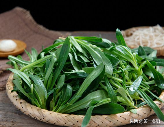 农村野菜名称大全图片可食用（10种野菜大图鉴）