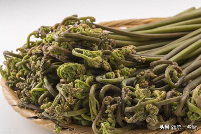 农村野菜名称大全图片可食用（10种野菜大图鉴）