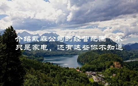 介绍戴森公司的经营范围（不只是家电，还有这些你不知道的业务）