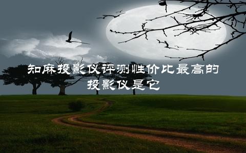 知麻投影仪评测性价比最高的投影仪是它